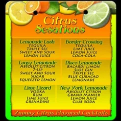 Flip Menus And Shooter Recipes With Flip Menu Stand -Endurance Sales citrus sensations