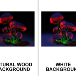 Holiday Fluorescence 24" X 30" Wooden Table Top - Two Types Available -Endurance Sales db 2430 holiday flourescence