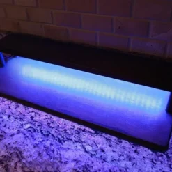 LED Counter Caddies™ - Black Straight Shelf - Liquor/Wine Bottle Display - 24" Length -Endurance Sales led counter caddy lit up empty black 2