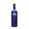 Flair Bottle - Blue Skyy Vodka - 750ml -Endurance Sales skyflair