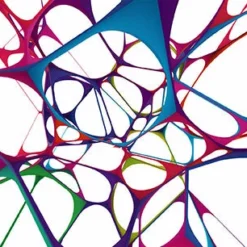 Kolorcoat™ Flair Bottle - Colorful Web Design - 750ml -Endurance Sales spider web flair bottle