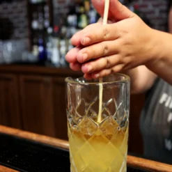 Swizzle Stick - All Natural - Hand Harvested -Endurance Sales ss natural natural wood swizzle stick bartender 1