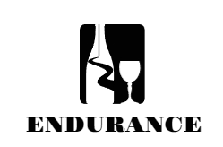 Endurance Sales